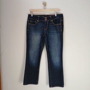 American Eagle Artist Jeans Womens 10R Cropped 25.5” Inseam Mid Rise Stretch